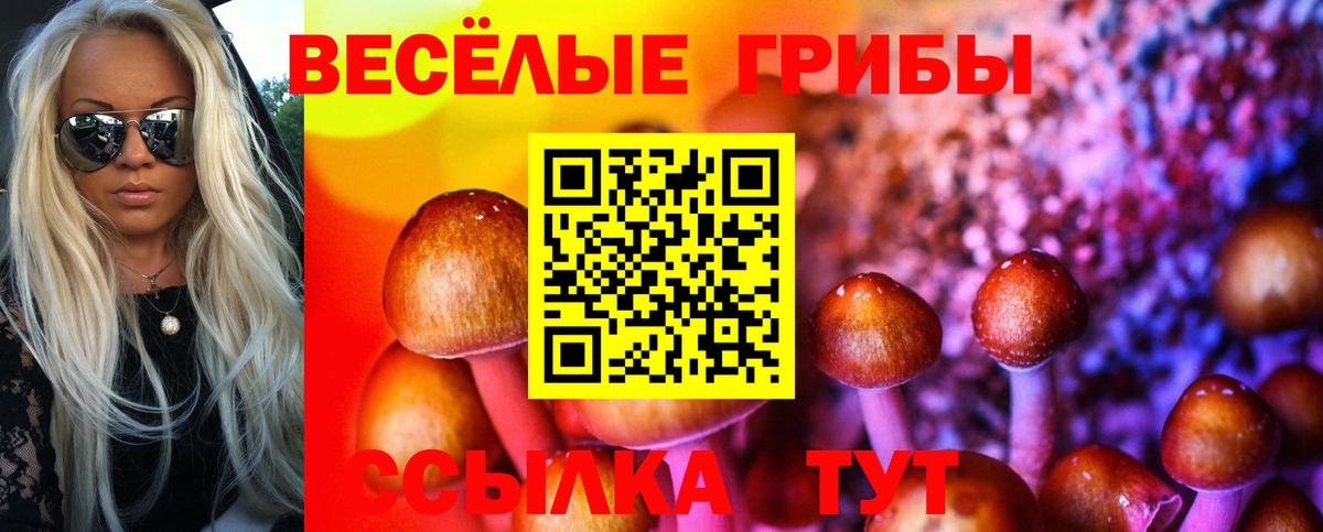 Кудрово  дарнет шоп  Галлюциногенные грибы Psilocybine cubensis  Вход с VPN  Галлюциногенные грибы мицелий 